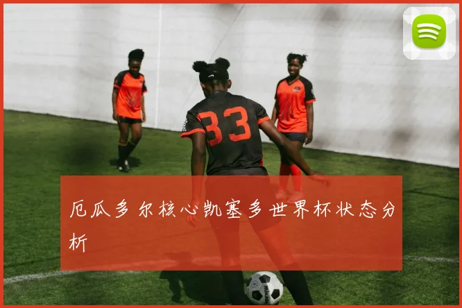 厄瓜多尔核心凯塞多世界杯状态分析