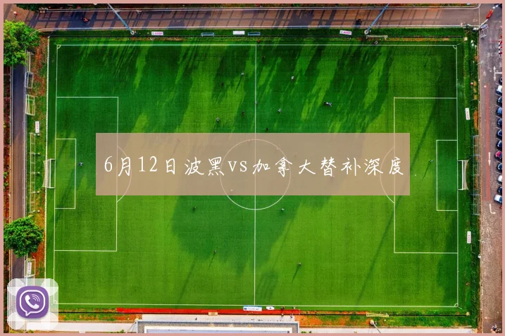 6月12日波黑vs加拿大替补深度