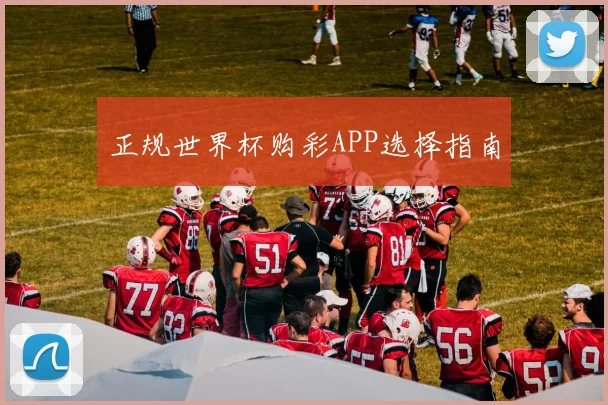 正规世界杯购彩APP选择指南