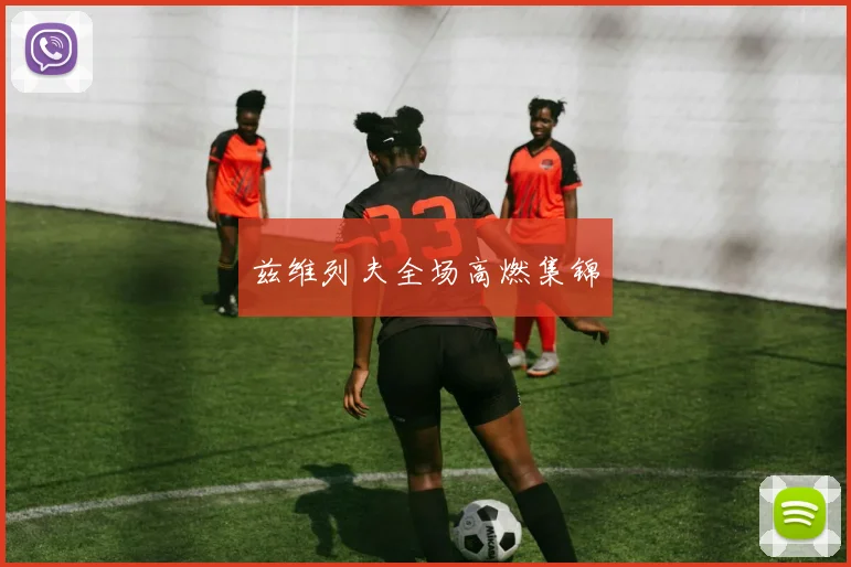 兹维列夫全场高燃集锦