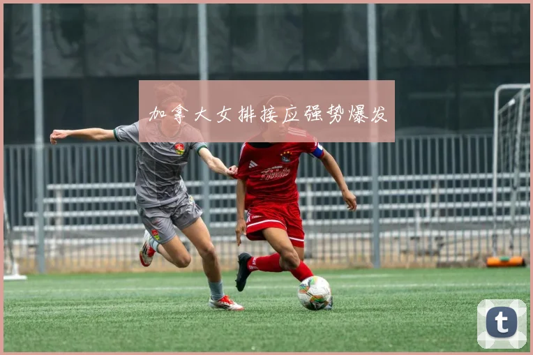 加拿大女排接应强势爆发