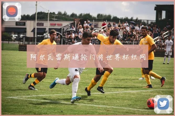 阿尔瓦雷斯逼抢门将世界杯织网