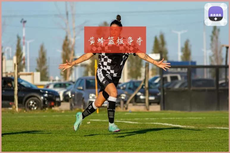 黄蜂篮板争夺