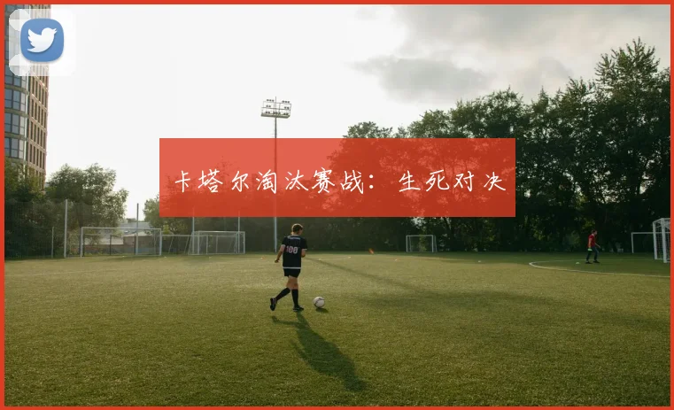 卡塔尔淘汰赛战:生死对决