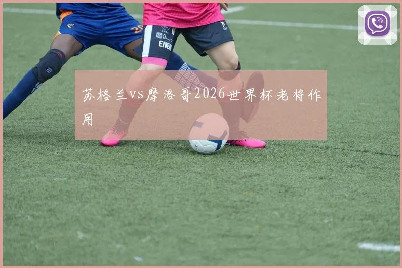 苏格兰vs摩洛哥2026世界杯老将作用
