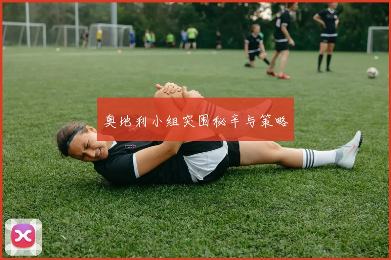 奥地利小组突围秘辛与策略