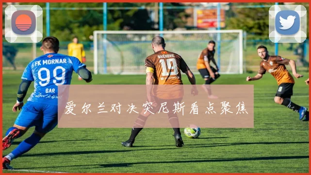 爱尔兰对决突尼斯看点聚焦