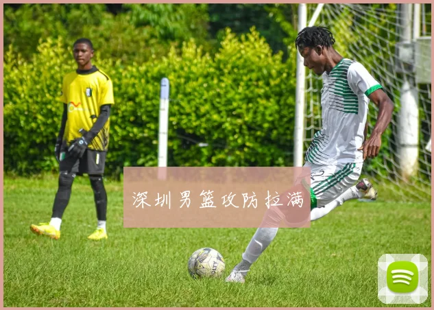 深圳男篮攻防拉满