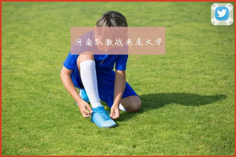河南队激战老虎大学