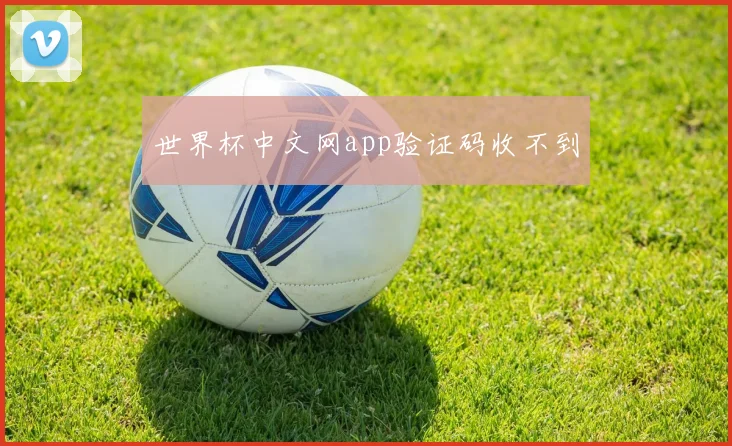 世界杯中文网app验证码收不到