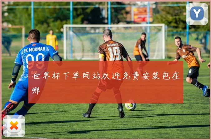 世界杯下单网站欢迎免费安装包在哪